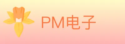 PM电子 logo